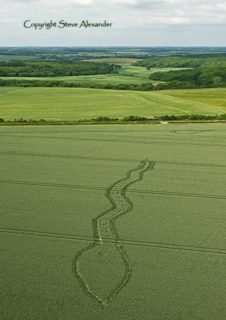 aerial of Wilton Windmill