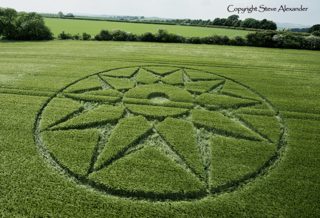 aerial of Willoughboy Hedge from tt