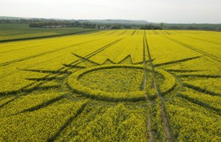 aerial of Avebury from tt