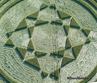 aerial of Danebury Hill from tt