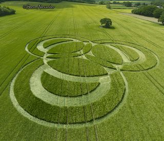 aerial of Long Wood from tt