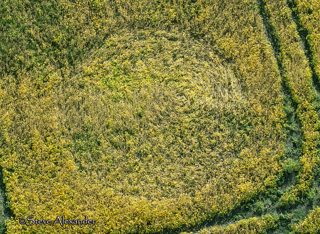 aerial of Marden Copse