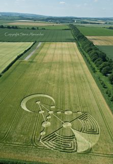 aerial of Badbury Rings from tt
