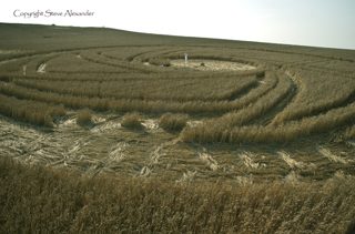other of Etchilhampton from tt