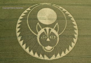 aerial of Figsbury Rings from tt
