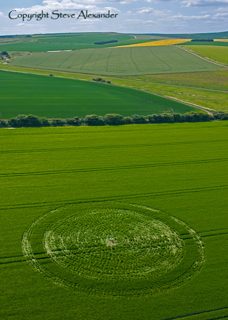 aerial of East Kennett from tt