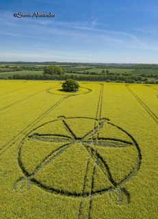 aerial of Willoughby Hedge from tt