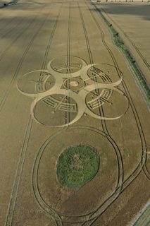 aerial of Roundway Hill from tt