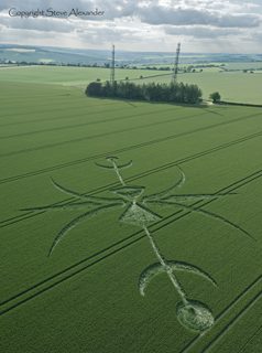 aerial of Stoford from tt