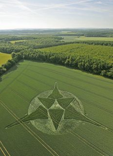 aerial of Savernake Forest from tt