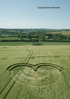 aerial of Wilton Windmill from tt