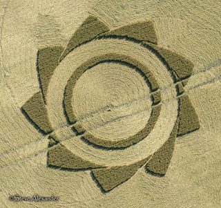 aerial of Longwood Warren from tt