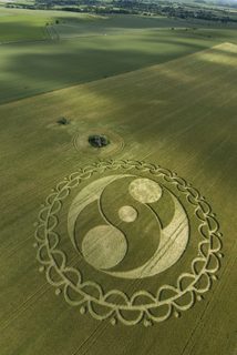 aerial of Furze Knoll from tt