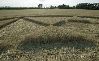 aerial of Rollright Stones from tt