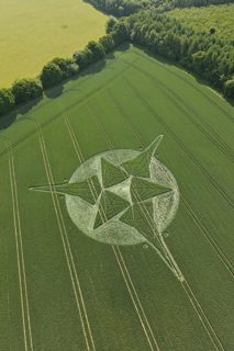 aerial of Savernake Forest from tt