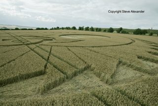 aerial of Figsbury Rings from tt