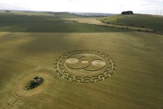 aerial of Furze Knoll from tt