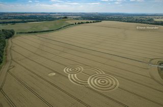 aerial of Tawesmead Copse from tt