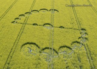 aerial of Willoughby Hedge from tt