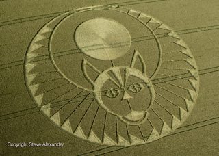 aerial of Figsbury Rings from tt