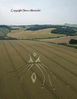 aerial of East Kennett from tt