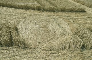 aerial of Bowerchalke from tt