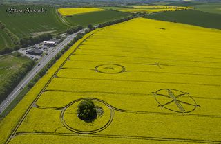 aerial of Willoughby Hedge from tt