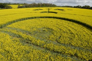 aerial of Clatford