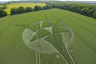 aerial of Savernake Forest from tt