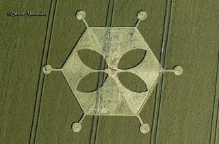 aerial of Yarnbury Castle from tt