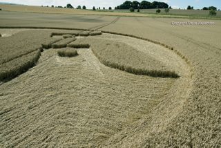 aerial of Beckhamtpon from tt