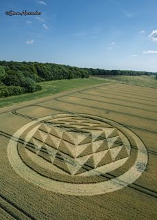aerial of Tichborne from tt