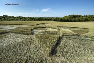 aerial of Bishops Sutton from tt