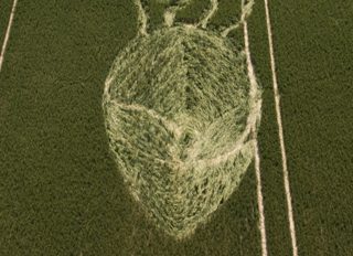 aerial of Alton Priors