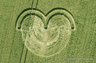 aerial of Wilton Windmill from tt