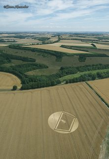 aerial of Gurston Ashes from tt