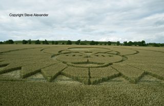 aerial of Figsbury Rings from tt