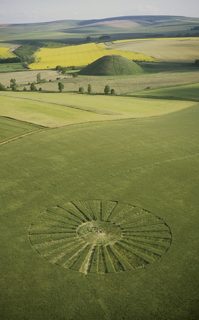 aerial of Waden Hill from tt