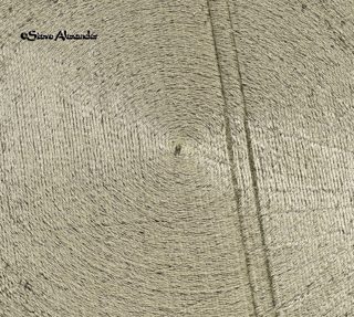aerial of Danebury Rings
