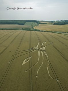 aerial of East Kennett
