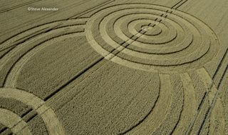 aerial of Tawesmead Copse from tt