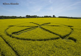aerial of Willoughby Hedge from tt