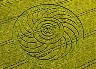 aerial of Roundway Hill from tt