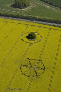aerial of Willoughby Hedge from tt