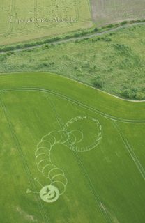 aerial of Boreham Woods