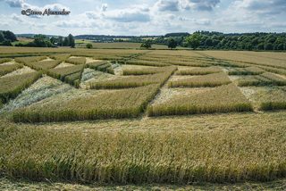 aerial of Tichborne from tt
