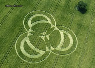 aerial of Long Wood from tt