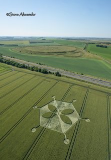 aerial of Yarnbury Castle from tt