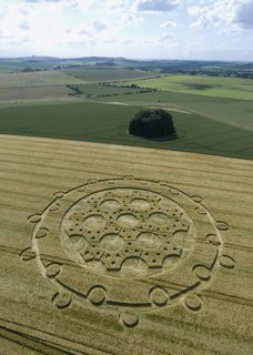 aerial of Avebury from tt