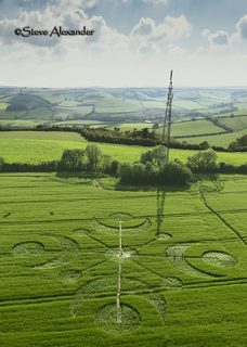 aerial of Buckland Down from tt